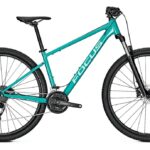 Focus Whistler 3.6 – 29 Zoll – Diamant – 2025