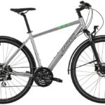 Carver Cinos Street 110 – 28 Zoll – Diamant – 2024
