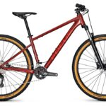 Focus Whistler 3.7 – 29 Zoll – Diamant – 2025