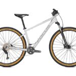 Focus Whistler 3.8 – 29 Zoll – Diamant – Aktion