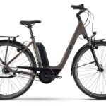 Raymon CityRay E 2.0 FW 400 – 400 Wh – 28 Zoll – Tiefeinsteiger – 2024