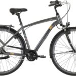 Carver Cityzen 140 LTD RT – 28 Zoll – Diamant – 2024