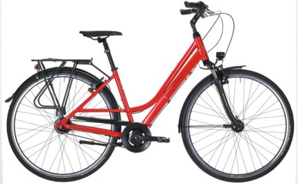 Gudereit Comfort 8.0 – 28 Zoll – Doppelrohr – 2023