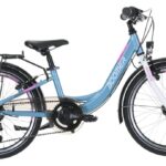 Boomer CITY 20 – 20 Zoll – Tiefeinsteiger – 2024