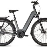 Kalkhoff Image 5 Move + RT – 625 Wh – 29 Zoll – Tiefeinsteiger – 2025