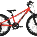 Carver Strict 20 – 20 Zoll – Diamant – 2024