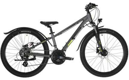 Carver Strict 24 HD Street – 24 Zoll – Diamant – 2024