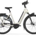 Gazelle Arroyo C5 Elite RT HMB – 625 Wh – 28 Zoll – Tiefeinsteiger – 2025