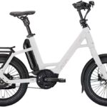 QiO EINS P-E – 545 Wh – 20 Zoll – Compact – 2025