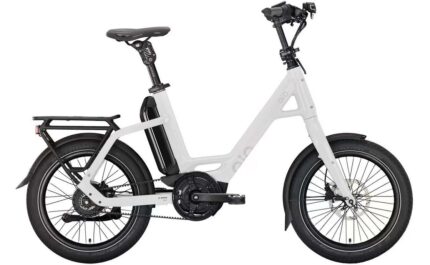 QiO EINS P-E – 545 Wh – 20 Zoll – Compact – 2025
