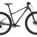 Carver Strict 170 – 29 Zoll – Diamant – 2025
