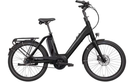 Wanderer E-Compact R5 – 545 Wh – 20 Zoll – Compact – 2023