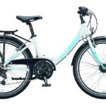KTM Wildcat 24 – 24 Zoll – Tiefeinsteiger – 2023