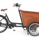 Babboe Carve Mountain – 500 Wh – 26 Zoll – Dreirad – 2024