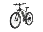 Fischer E-Bike Montis EM 1726 – 557 Wh 48 cm