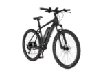Fischer E-Bike Montis EM 2127 – 627 Wh 48 cm