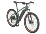 Prophete E-Bike MTB Dice 1.0 Bronze Grün Matt 27,5″
