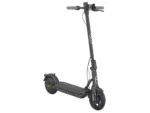 Prophete E-Scooter 1.0 Anthrazit 360 W