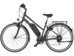 Fischer E-Bike Trekking-Fahrrad ETD 1806