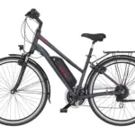 Fischer E-Bike Trekking-Fahrrad ETD 1806